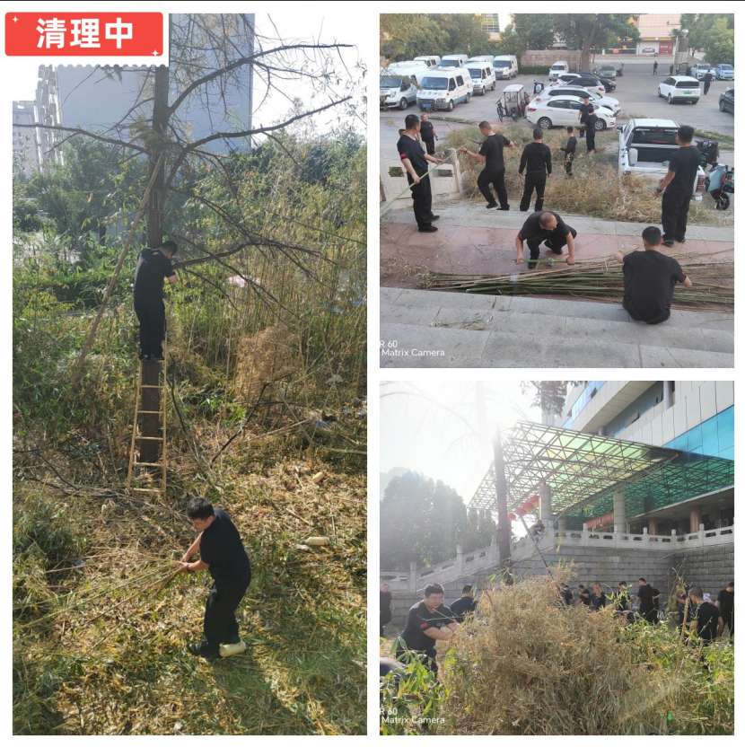 1754467505125179.png 1.png